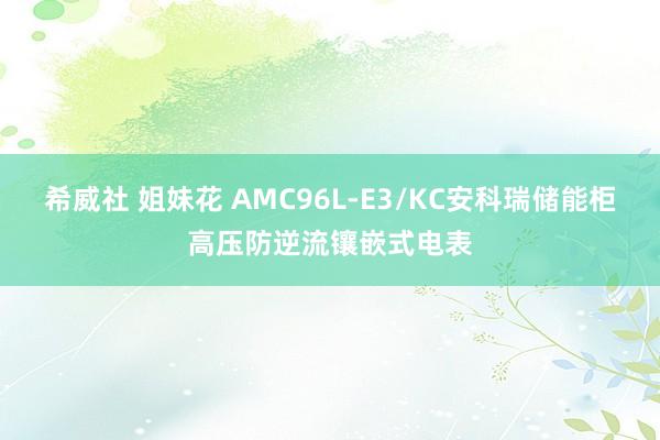 希威社 姐妹花 AMC96L-E3/KC安科瑞储能柜高压防逆流镶嵌式电表