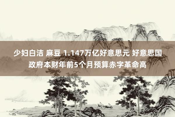 少妇白洁 麻豆 1.147万亿好意思元 好意思国政府本财年前5个月预算赤字革命高