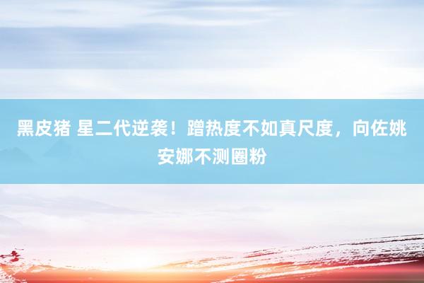 黑皮猪 星二代逆袭！蹭热度不如真尺度，向佐姚安娜不测圈粉