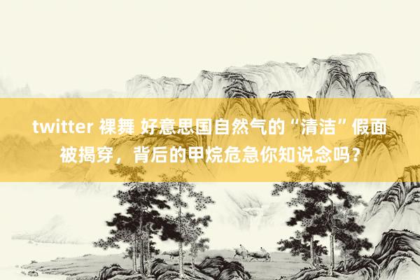 twitter 裸舞 好意思国自然气的“清洁”假面被揭穿，背后的甲烷危急你知说念吗？