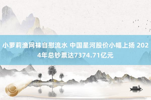 小萝莉渔网袜自慰流水 中国星河股价小幅上扬 2024年总钞票达7374.71亿元