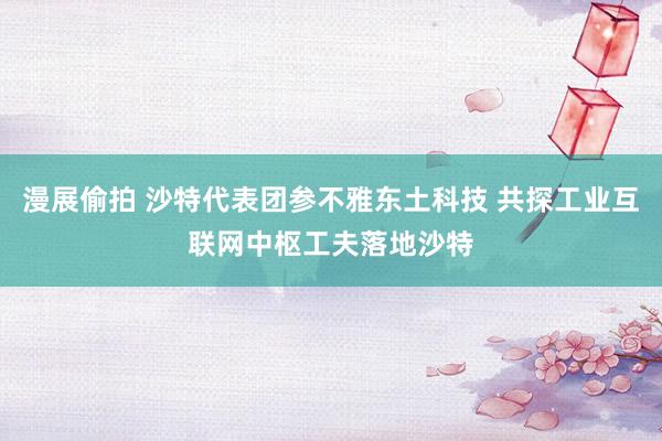 漫展偷拍 沙特代表团参不雅东土科技 共探工业互联网中枢工夫落地沙特