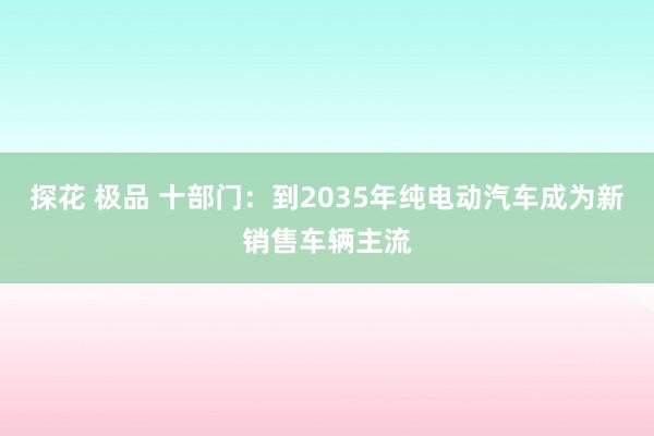 探花 极品 十部门：到2035年纯电动汽车成为新销售车辆主流