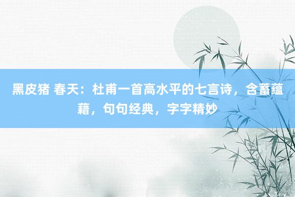 黑皮猪 春天：杜甫一首高水平的七言诗，含蓄蕴藉，句句经典，字字精妙