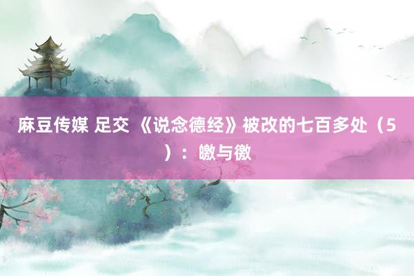 麻豆传媒 足交 《说念德经》被改的七百多处（5）：皦与徼