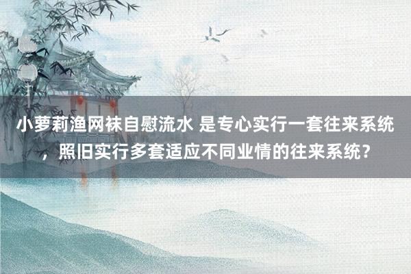 小萝莉渔网袜自慰流水 是专心实行一套往来系统，照旧实行多套适应不同业情的往来系统？