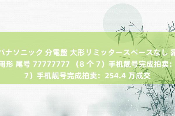パナソニック 分電盤 大形リミッタースペースなし 露出・半埋込両用形 尾号 77777777 （8 个 7）手机靓号完成拍卖：254.4 万成交