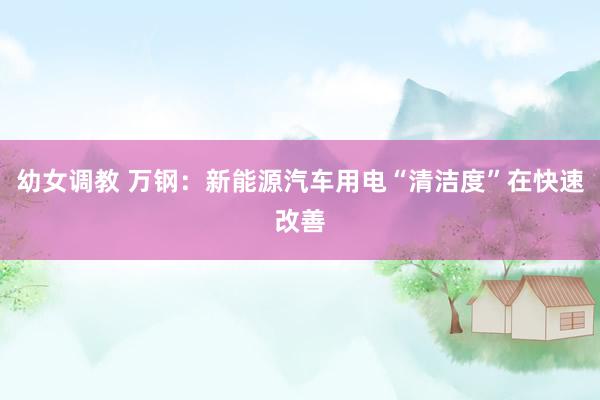 幼女调教 万钢：新能源汽车用电“清洁度”在快速改善