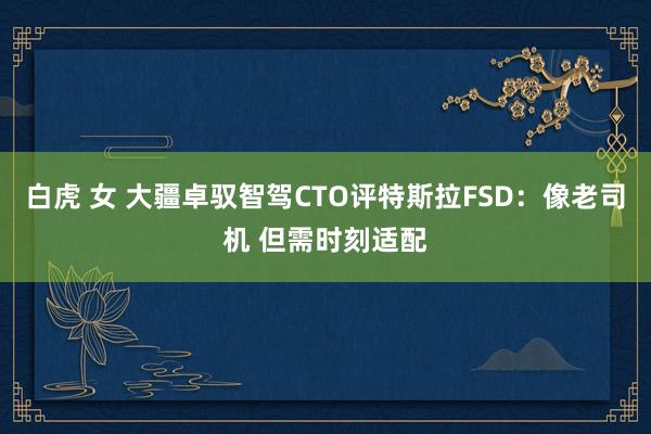 白虎 女 大疆卓驭智驾CTO评特斯拉FSD：像老司机 但需时刻适配