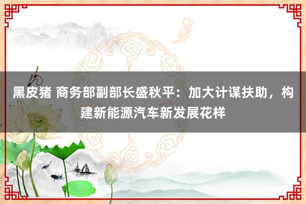 黑皮猪 商务部副部长盛秋平：加大计谋扶助，构建新能源汽车新发展花样