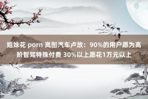 姐妹花 porn 岚图汽车卢放：90%的用户愿为高阶智驾特殊付费 30%以上愿花1万元以上