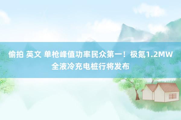 偷拍 英文 单枪峰值功率民众第一！极氪1.2MW全液冷充电桩行将发布